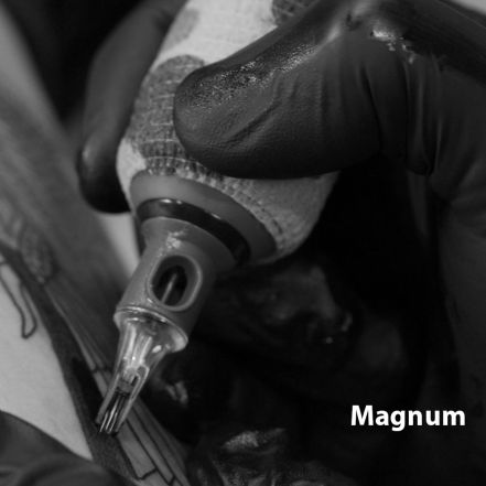 Magnum Raptor Cartridge